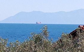 Villa Asimidou