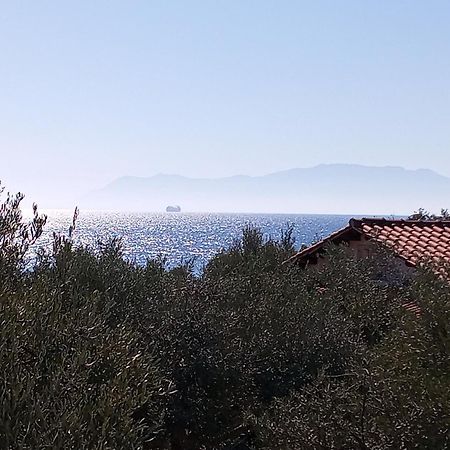Villa Asimidou Agia Paraskevi  Екстериор снимка