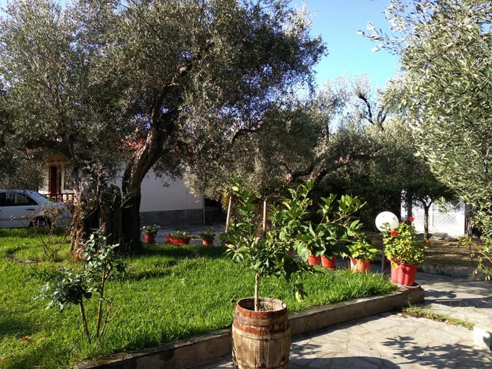 Villa Asimidou Agia Paraskevi  Екстериор снимка