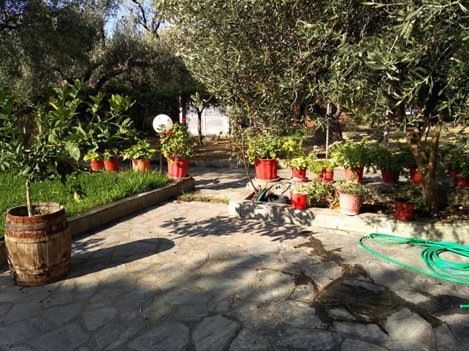 Villa Asimidou Agia Paraskevi  Екстериор снимка