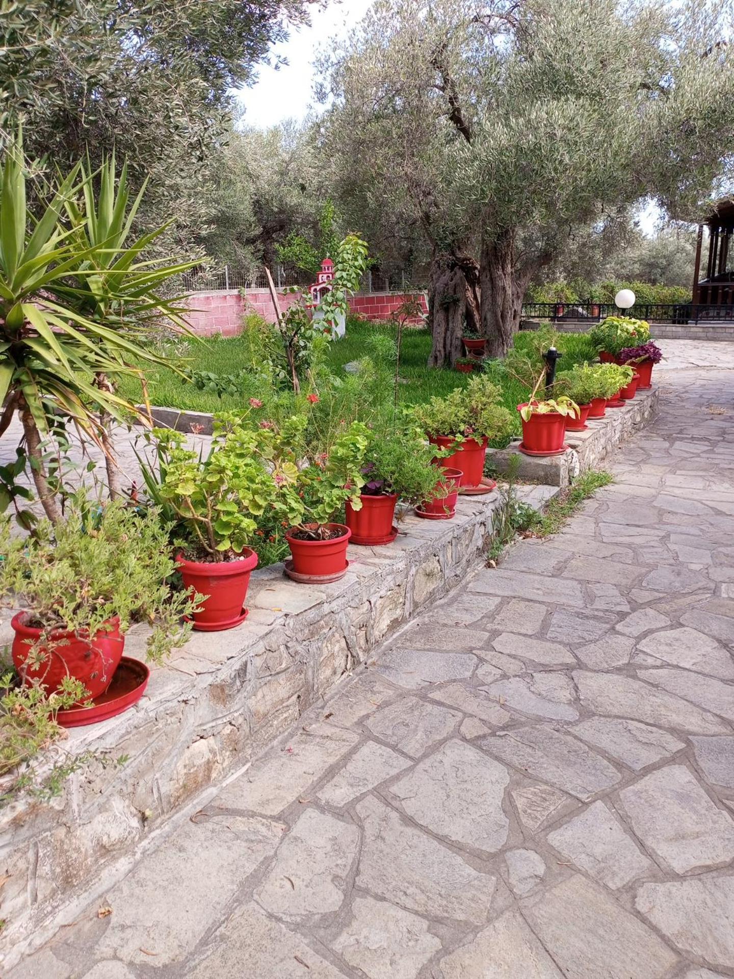 Villa Asimidou Agia Paraskevi  Екстериор снимка