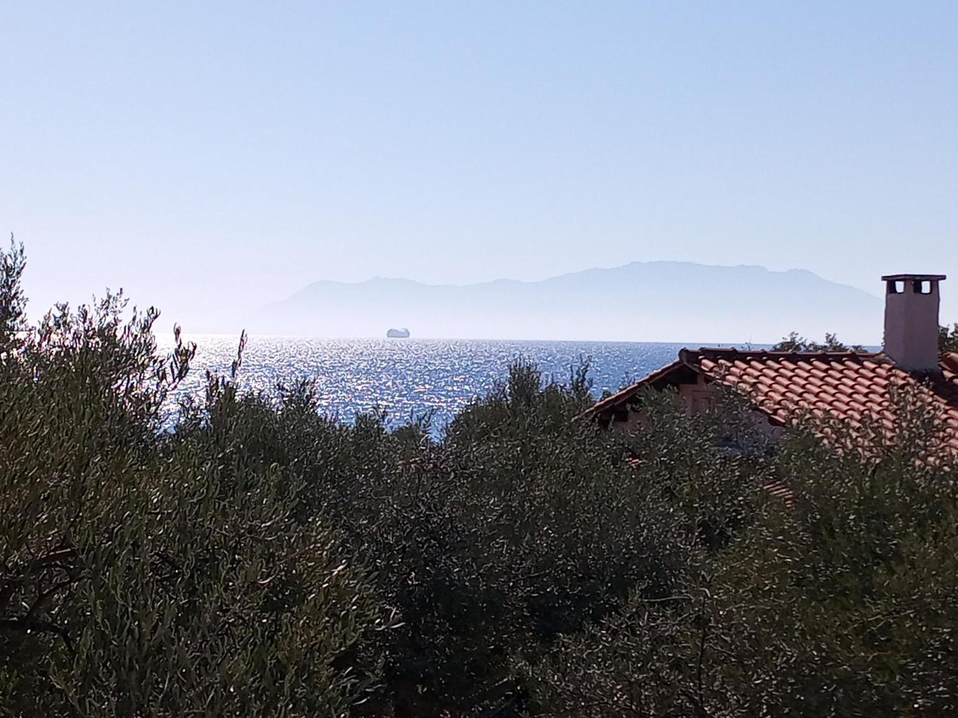 Villa Asimidou Agia Paraskevi  Екстериор снимка