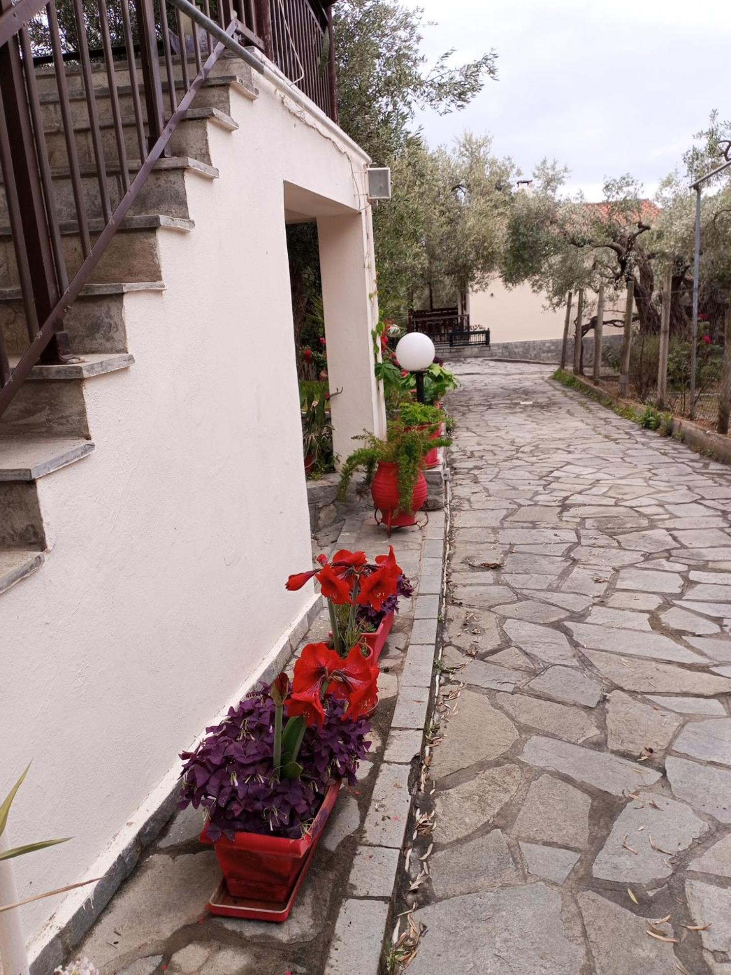 Villa Asimidou Agia Paraskevi  Екстериор снимка