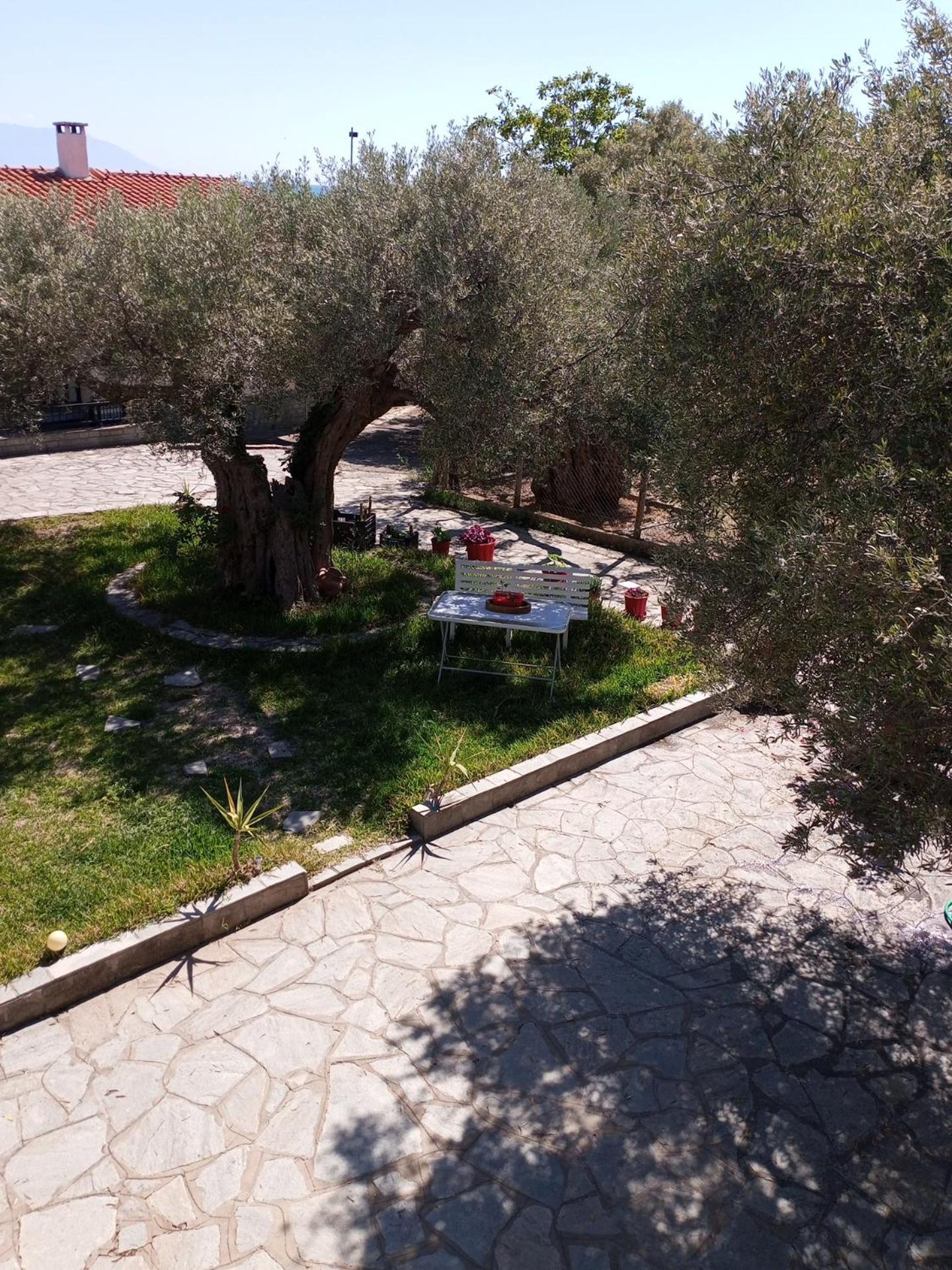 Villa Asimidou Agia Paraskevi  Екстериор снимка
